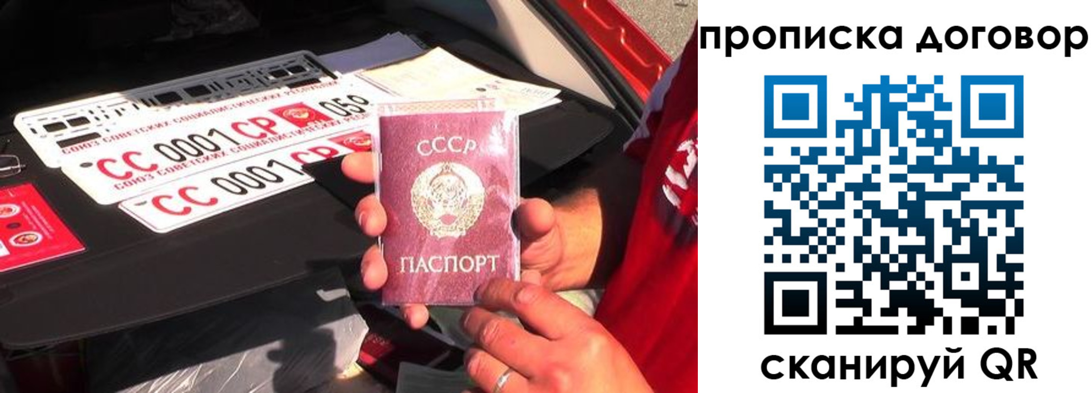 прописка гарантия в Брянске