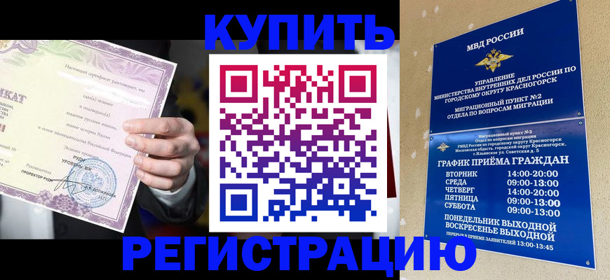 временная регистрация собственник в Брянске